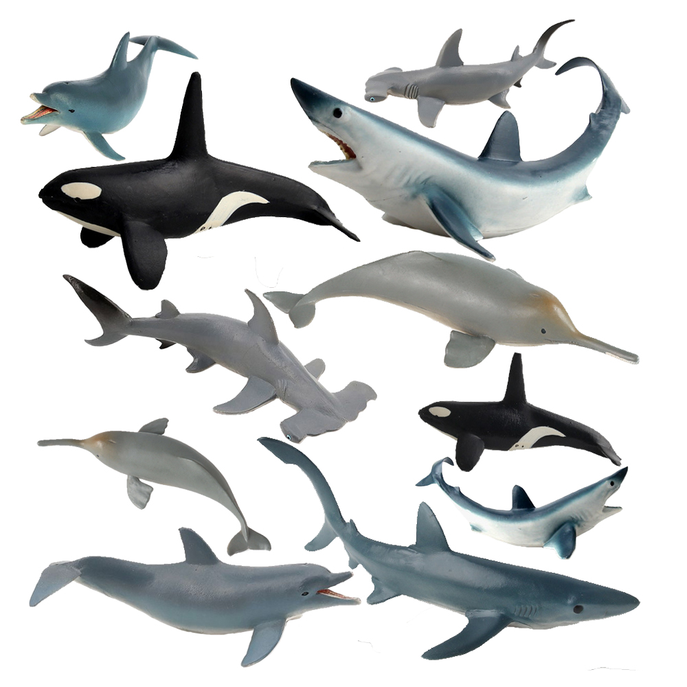 絶滅危惧種の海洋動物の置物キラー サメ シャチ ベルーガ ク - Kids Toys Under 1 Year のレビューと価格