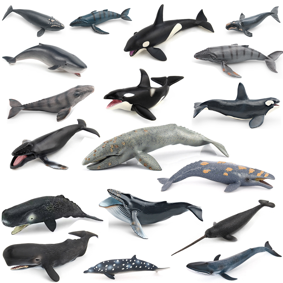 リアルなザトウクジラ、カジキ、イッカク、シャチ、海洋生物動物 - Kids Toys Under 1 Year のレビューと価格